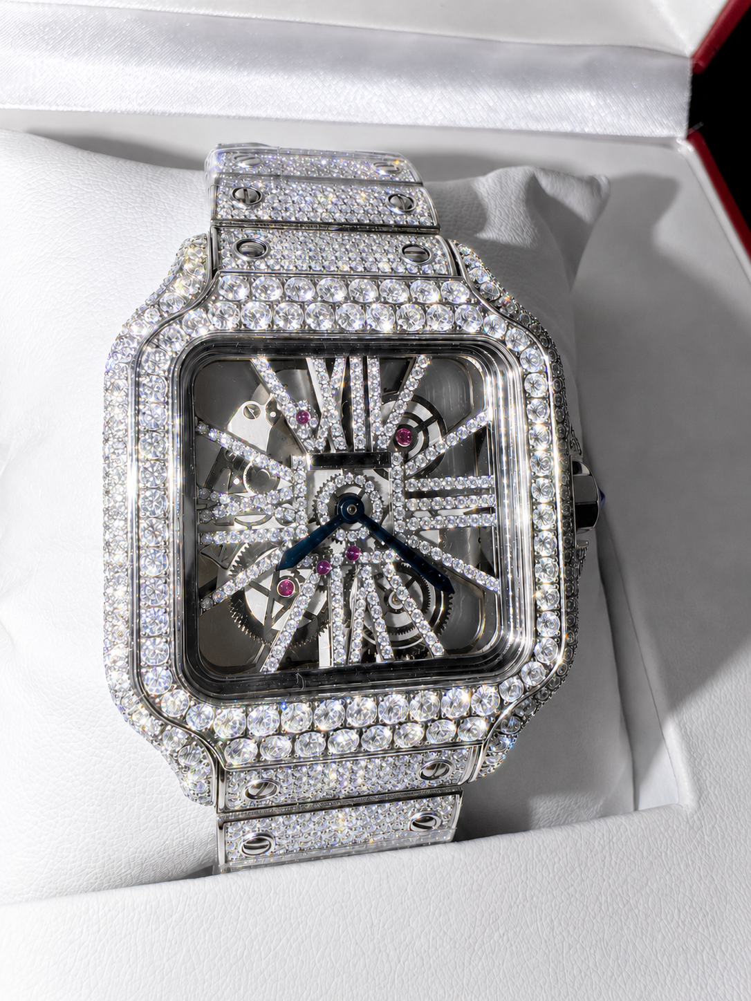 Watch in premium box